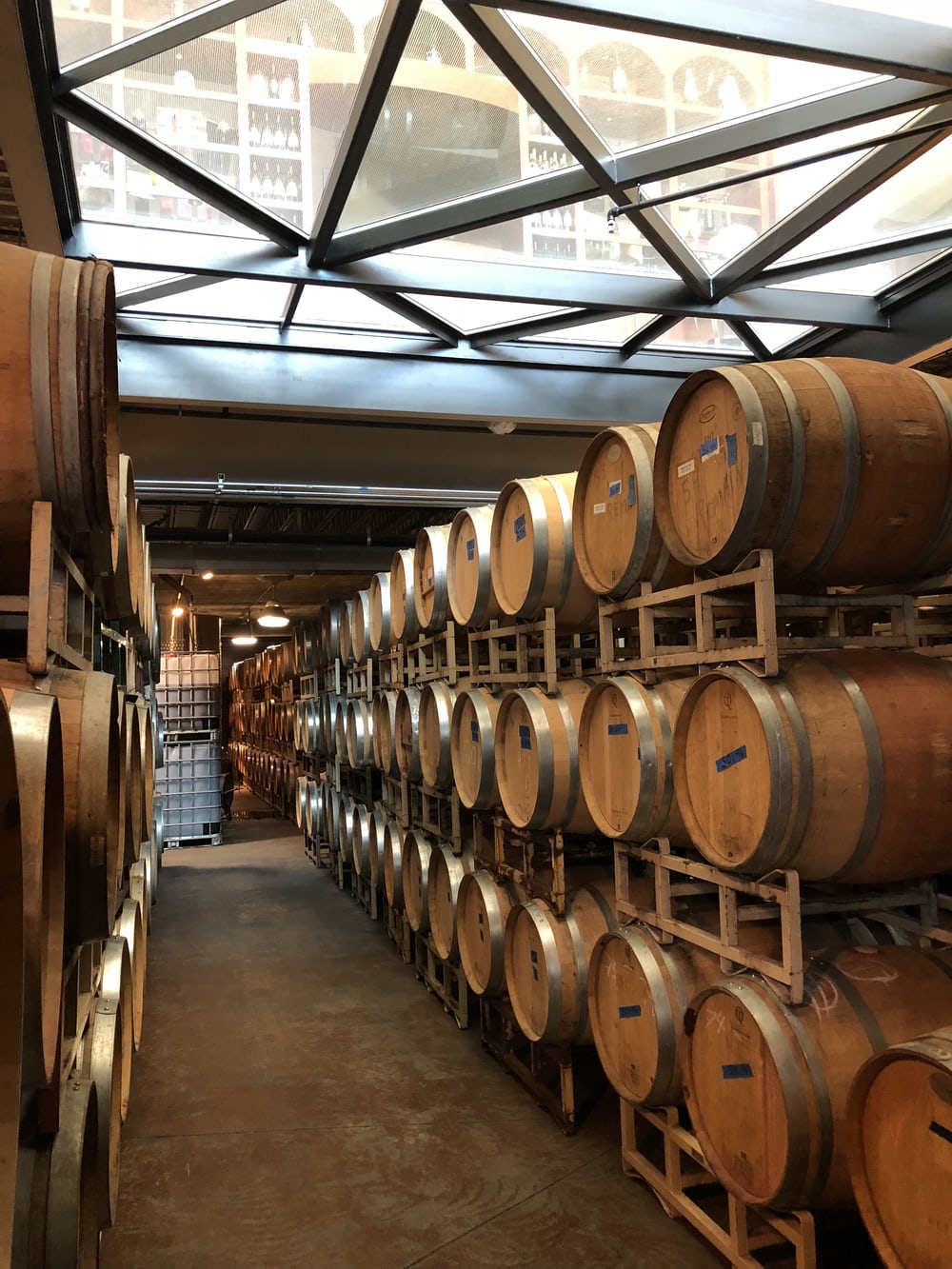 wine barrels in a row